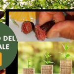 Risparmia con l’installazione del wallbox in garage: scopri il costo conveniente!