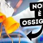 Scopri la convenienza della tariffa giornaliera Share Now: risparmia e condividi l’auto!