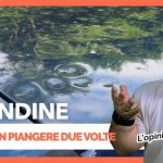 Aumento Assicurazione: Senza Incidenti, Ma con Sorprese!