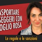 Emozioni ad alta velocit&agrave;: scopri la nuova nave da crociera con pista go kart!