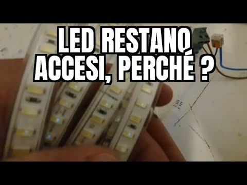 Il segreto di Alexa LED: perch&eacute; tenerlo sempre acceso pu&ograve; cambiare la tua vita