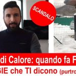 Riparazione Carglass: L’arte di Ripristinare la Chiarezza in un Lampo