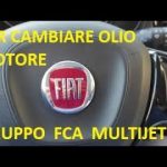 Segreto rivelato: perch&eacute; non dovresti MAI aggiungere olio a motore caldo!