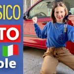 Divisorio Auto per Cani Fai da Te: La Soluzione Pratica in 5 Minuti!
