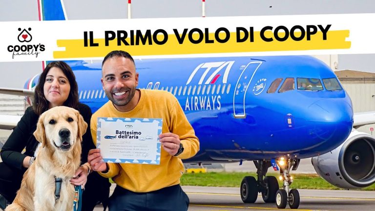 ITA Airways: Viaggio a 4 Zampe! Cani Benvenuti a Bordo!