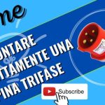 Gomma naturale: il tesoro rinnovabile che cambier&agrave; il futuro