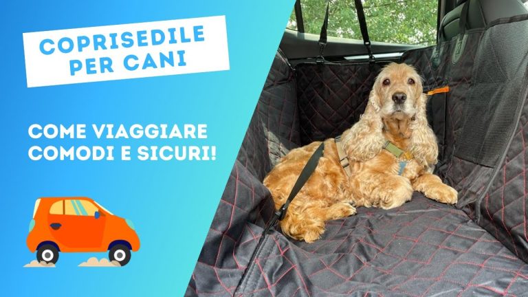 Cintura cane auto omologata: la soluzione sicura per viaggiare con il tuo amico a quattro zampe